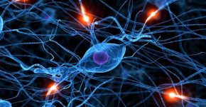 Что такое нейроинфекция и как её распознать?