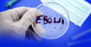 Геморрагическая лихорадка Эбола: пути заражения, симптомы, вакцины