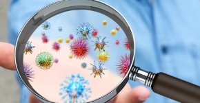 Что такое бактериальная инфекция и чем она отличается от вирусной?