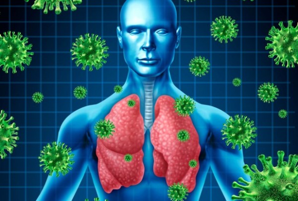 Вирусы и лёгкие